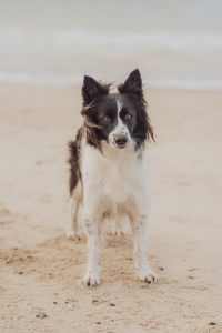 Über mich 16 katharina und ihre 3 045