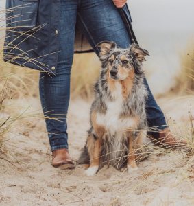 Über mich 8 katharina und ihre 3 026