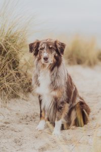 Über mich 9 katharina und ihre 3 027